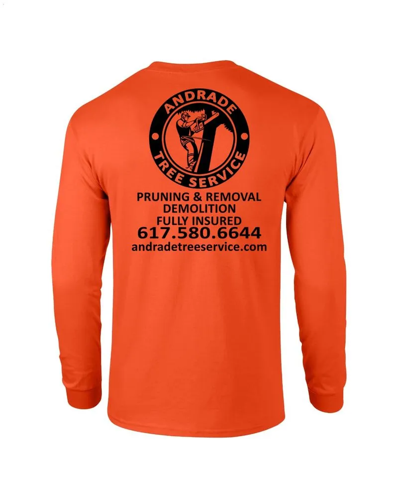 Reliable landscape design in Lynn, MA by Andrade Tree Service