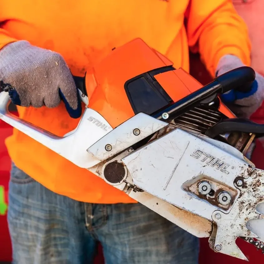 Top-rated yard cleanup service in Lynn, MA - Andrade Tree Service