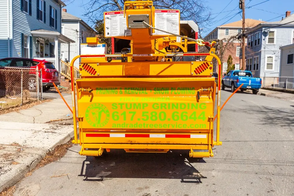 Professional garden landscaping experts serving Lynn, MA - Andrade Tree Service