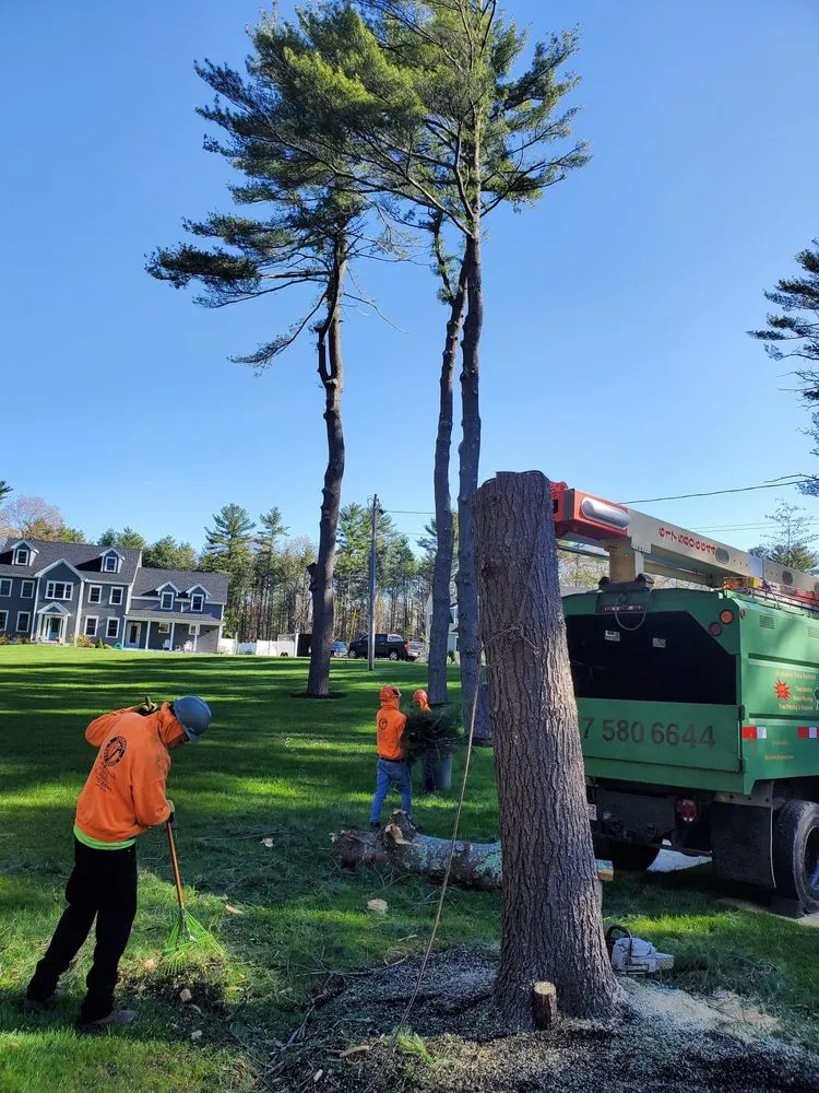 Top-rated garden landscaping with custom design in Lynn, MA by Andrade Tree Service