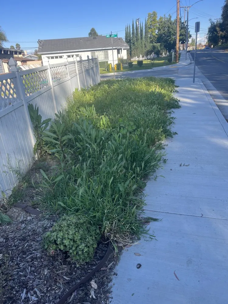 Affordable landscape design for beautiful yards across Ontario, CA - Andrade’s Landscaping and Tree Service