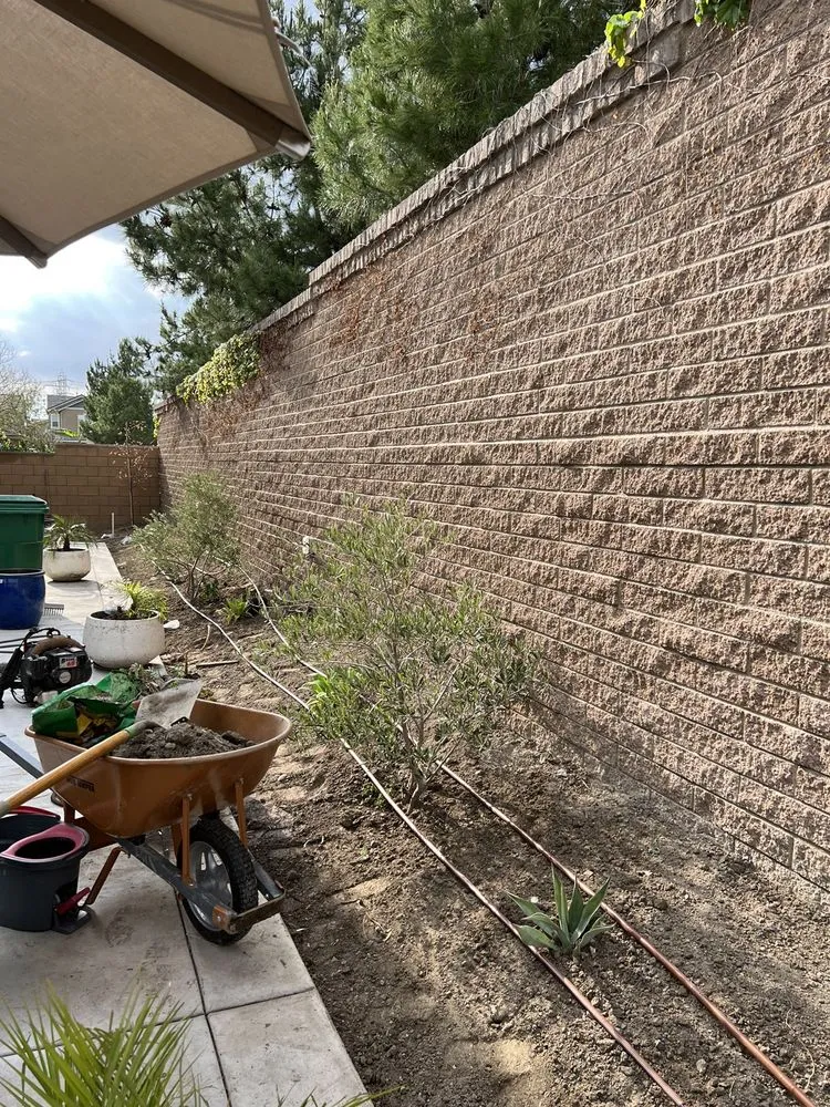 Top-rated landscape installation for outdoor upgrades in Ontario, CA by Andrade’s Landscaping and Tree Service