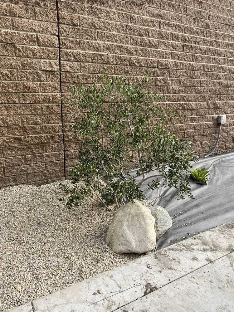 Affordable outdoor landscaping in Ontario, CA - Andrade’s Landscaping and Tree Service