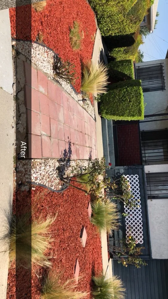 Professional residential landscaping experts serving Compton, CA - Andrade's Lawn Service