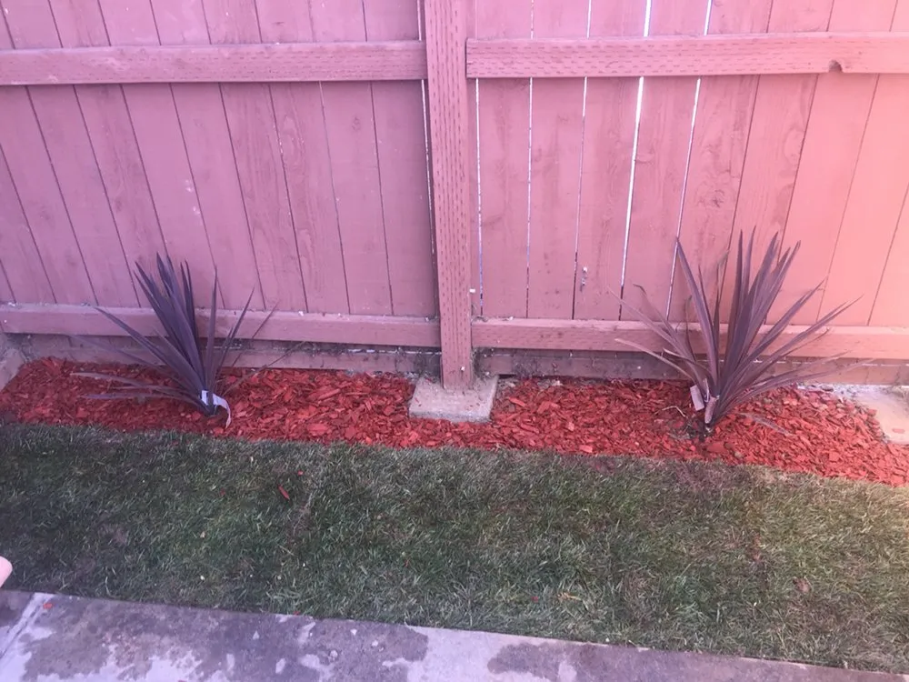 Affordable garden landscaping in Compton, CA - Andrade's Lawn Service