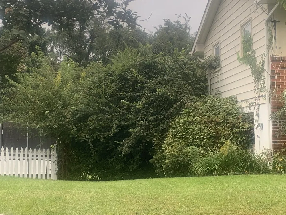 Top-rated landscaping services experts serving Leesburg, VA - Andrades Lawn Services