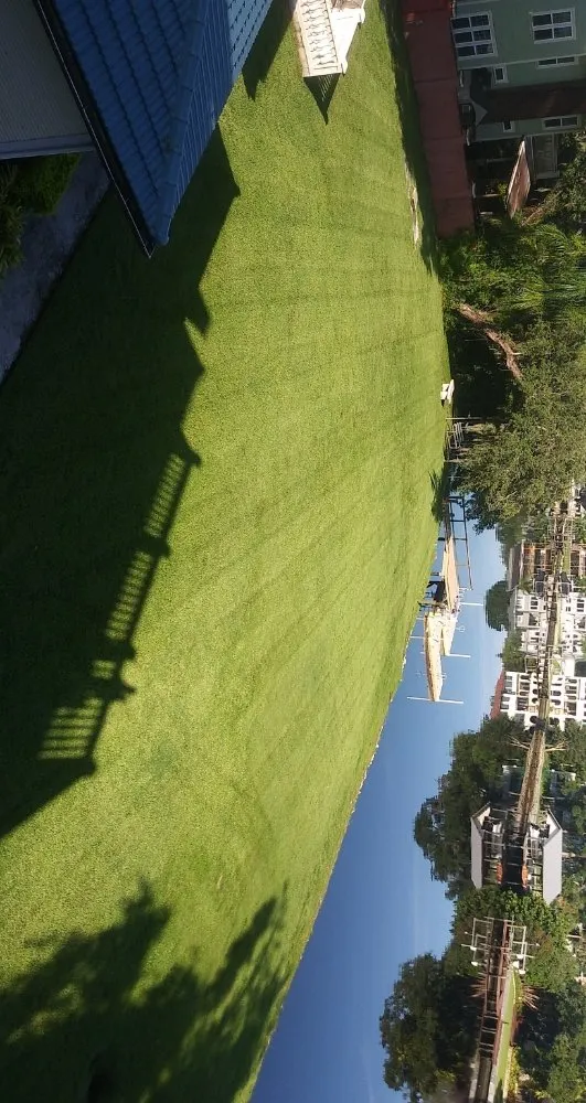 Custom landscape design in Lithia, FL - Andrades Tree And Lawn