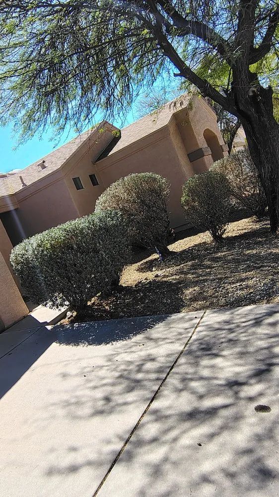 Local garden landscaping in Tucson, AZ by Andre Landking