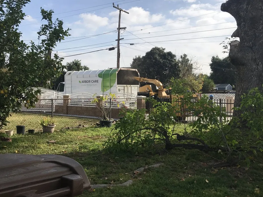 Custom outdoor landscaping in San Marcos, CA by Andre Landscape Service
