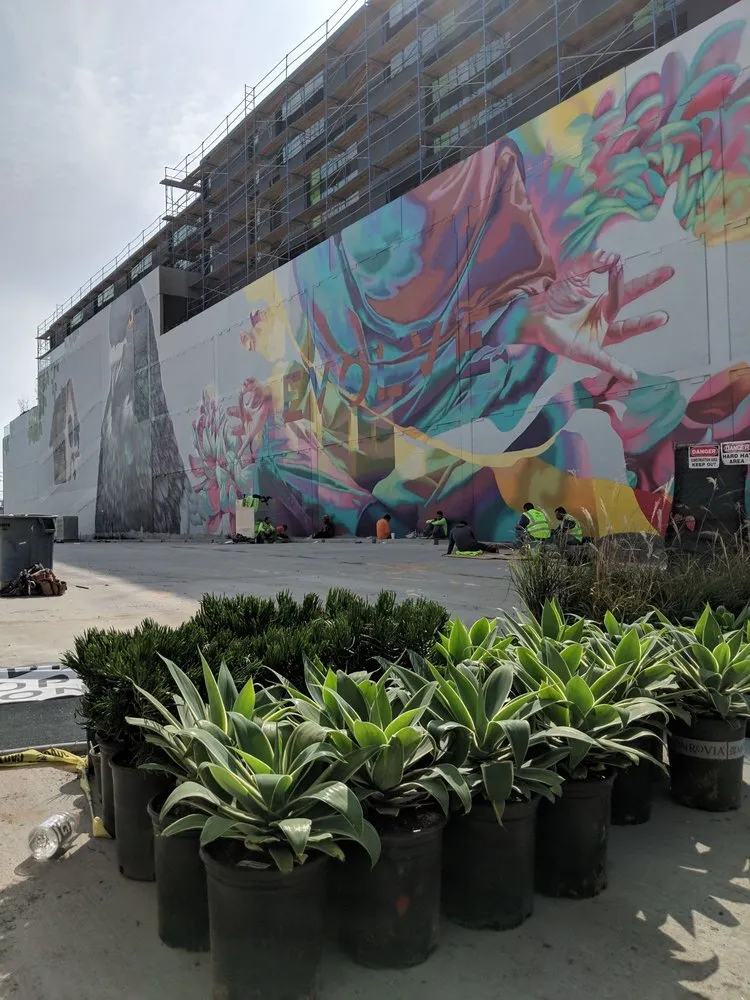 Expert landscape installation in San Marcos, CA by Andre Landscape Service