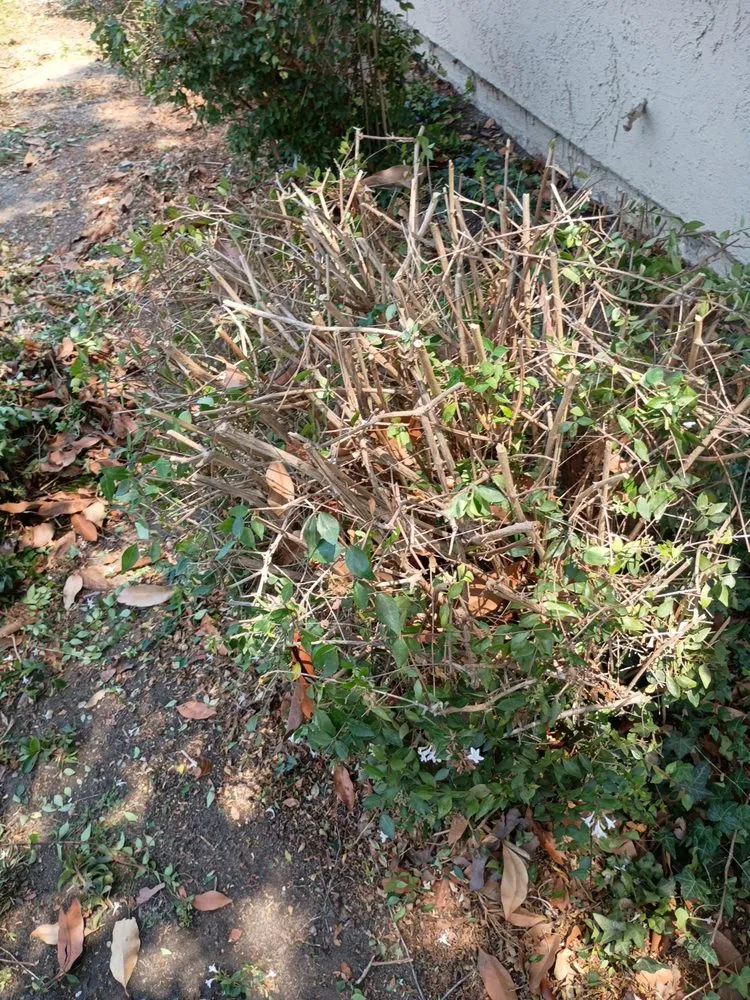 Trusted garden landscaping in San Marcos, CA - Andre Landscape Service