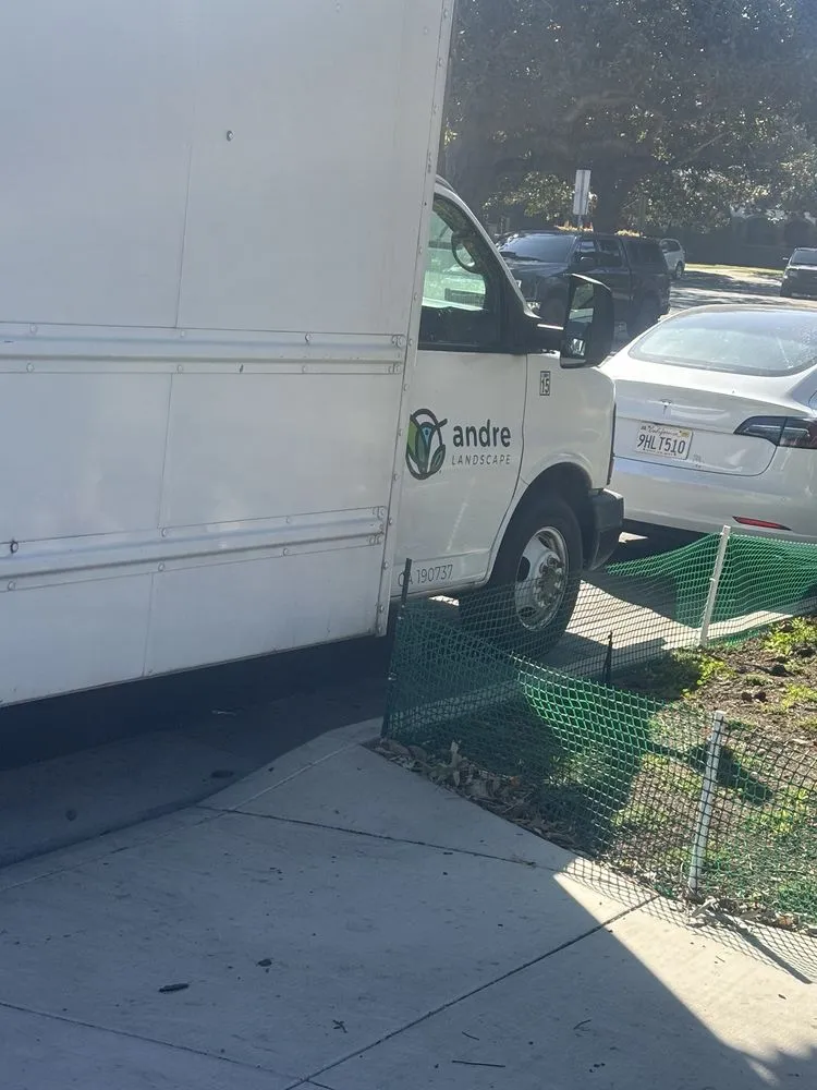 Affordable garden landscaping in San Marcos, CA - Andre Landscape Service