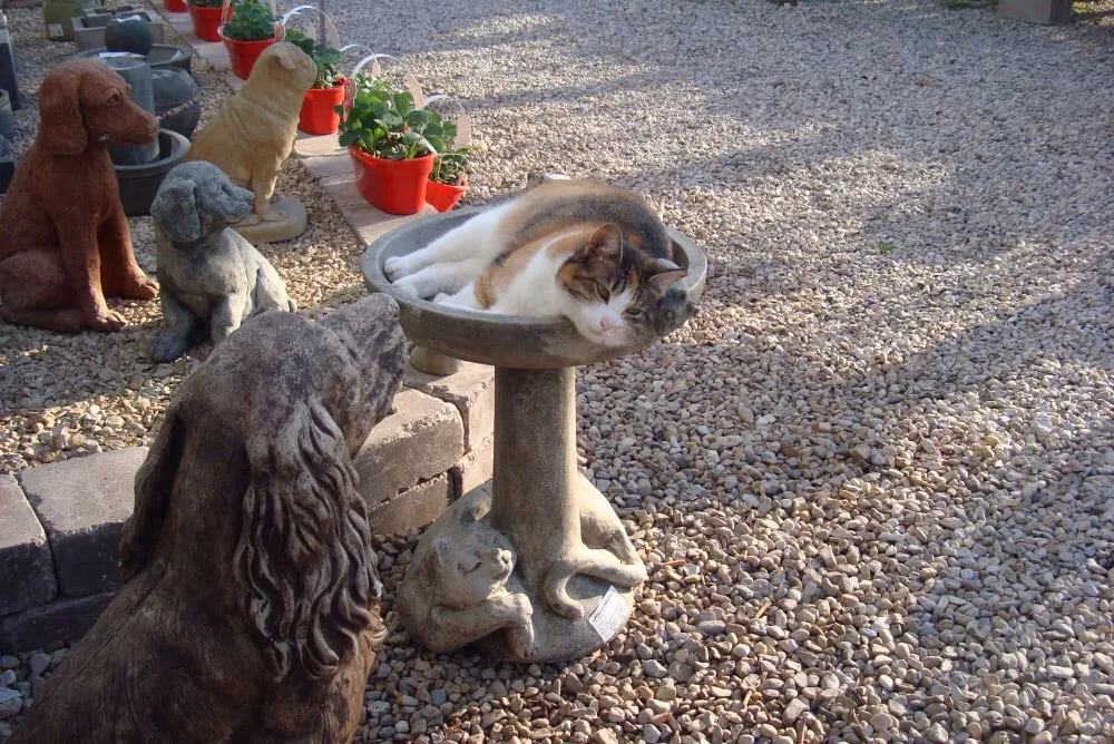 Top-rated garden landscaping experts serving Indianapolis, IN - Andrea's Garden Center