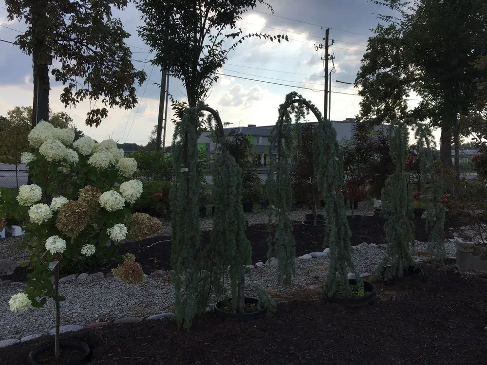 Top-rated landscape installation in Indianapolis, IN by Andrea's Garden Center