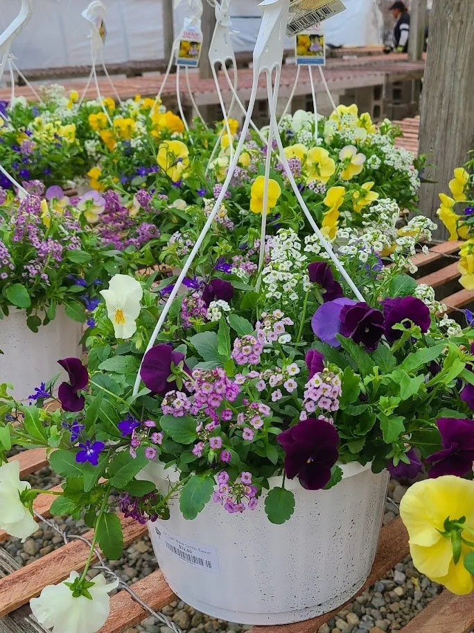 Expert yard cleanup service for homes across Indianapolis, IN - Andrea's Garden Center