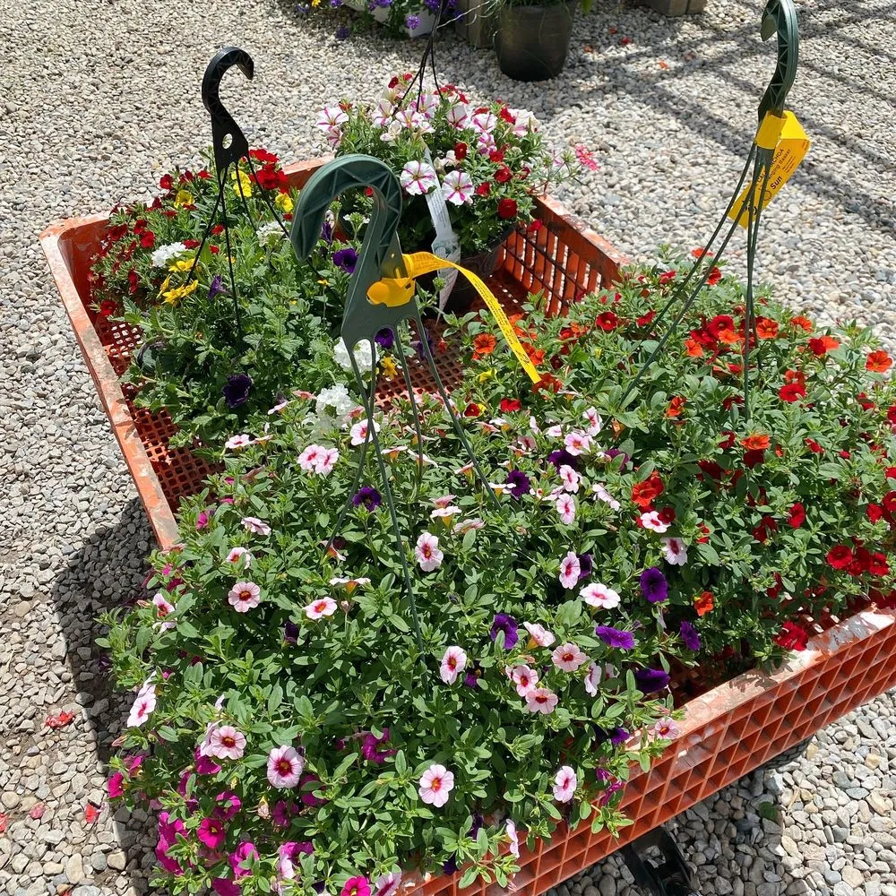 Top-rated yard cleanup service experts serving Indianapolis, IN - Andrea's Garden Center