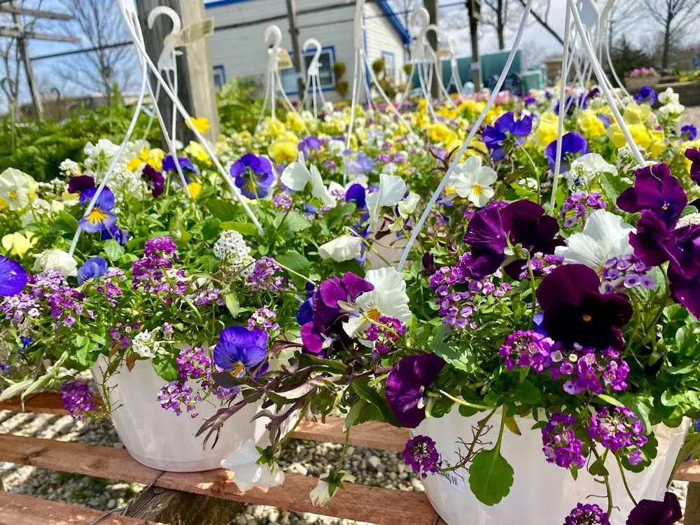 Expert lawn care service for outdoor upgrades across Indianapolis, IN - Andrea's Garden Center