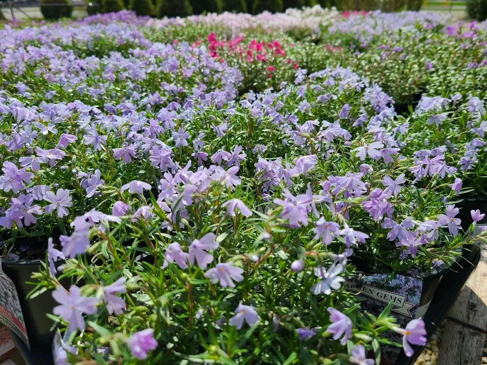 Expert outdoor landscaping near you across Indianapolis, IN - Andrea's Garden Center