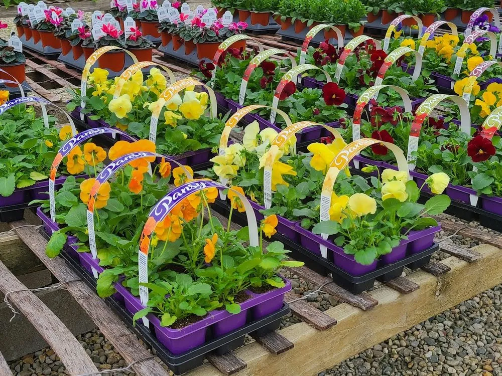 Custom outdoor landscaping experts serving Indianapolis, IN - Andrea's Garden Center