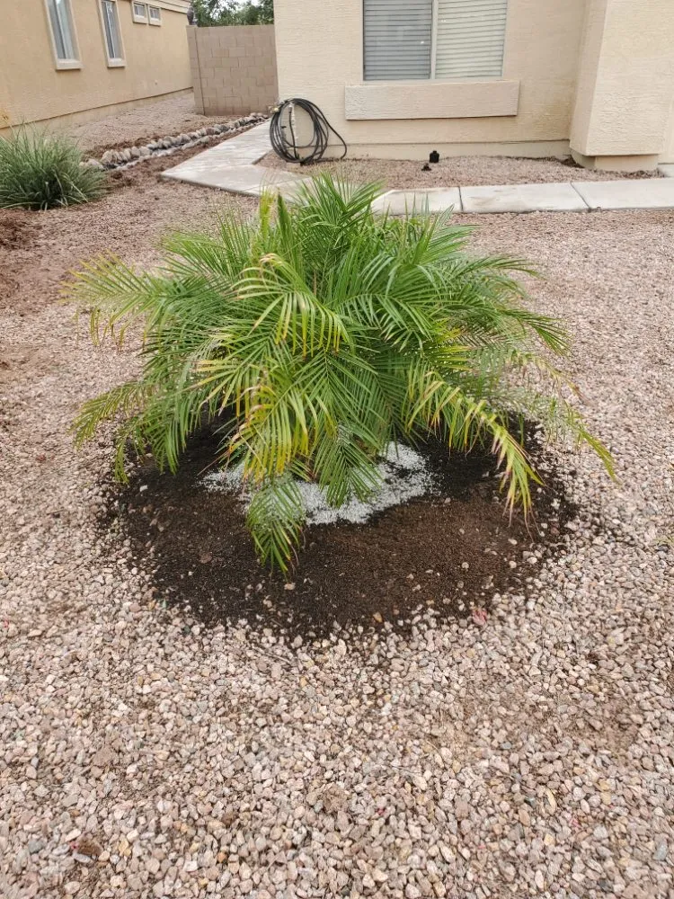 Affordable garden landscaping for outdoor upgrades in Casa Grande, AZ by Andres & Ronita's Empire