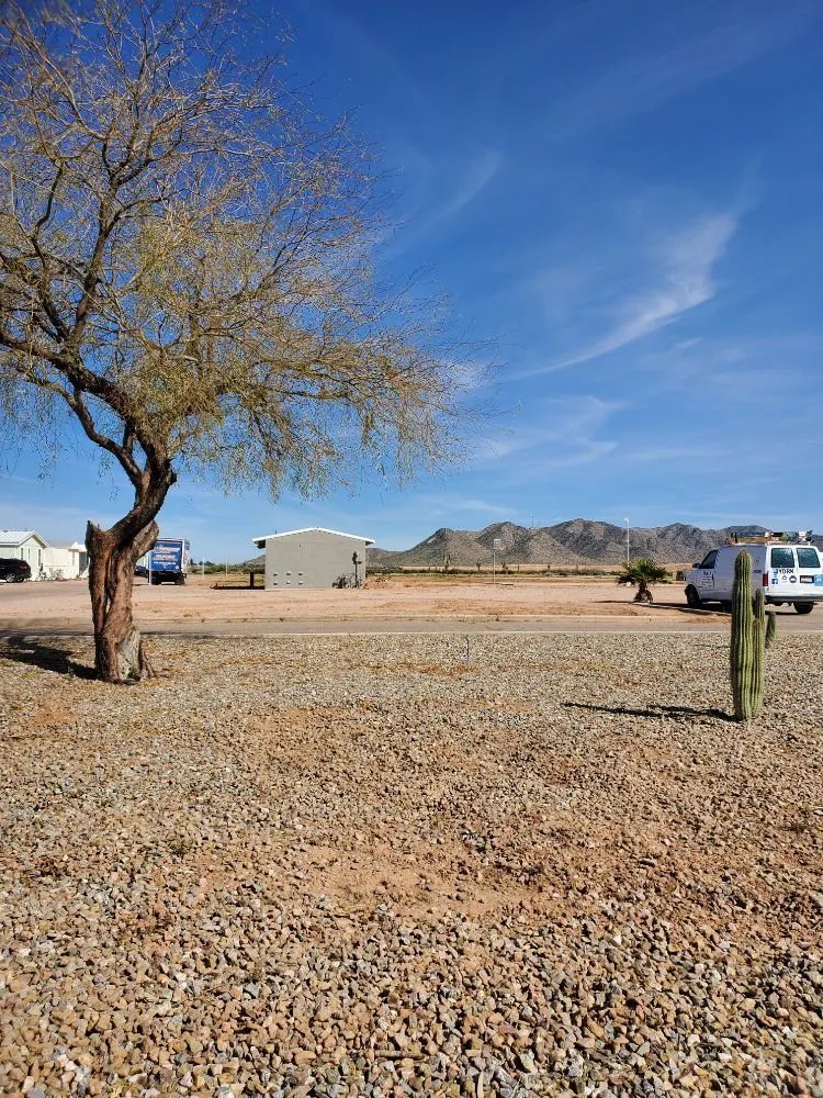 Trusted landscaping services in Casa Grande, AZ - Andres & Ronita's Empire