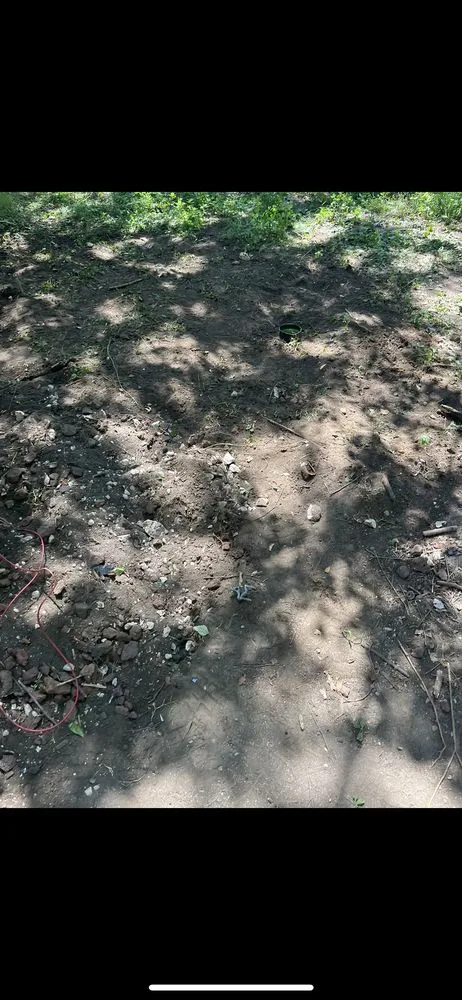 Affordable residential landscaping in Beloit, WI - Andre’s 1N Done