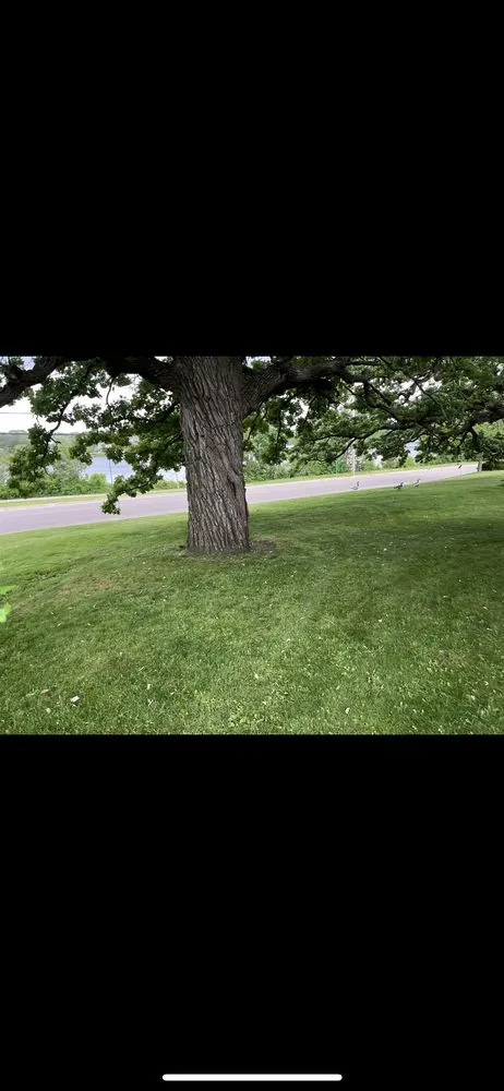 Custom lawn mowing service in Beloit, WI by Andre’s 1N Done