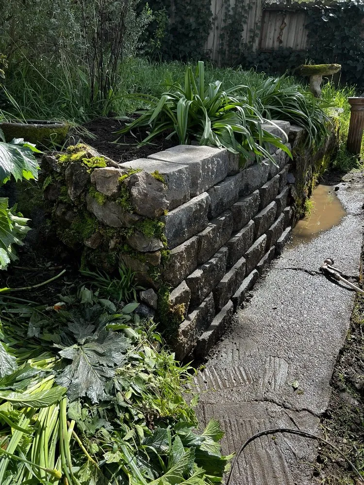 Professional yard maintenance for year-round maintenance across Oakland, CA - Andres' Garden Services