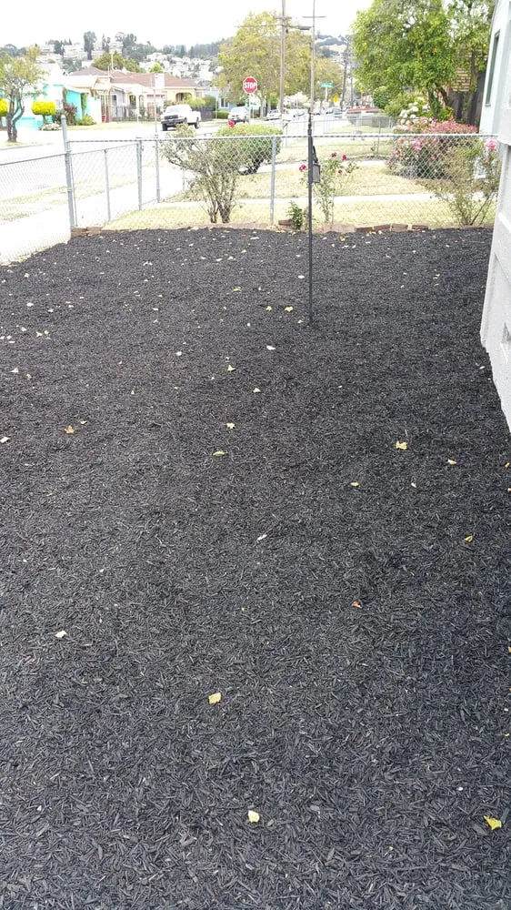 Professional residential landscaping in Oakland, CA by Andres' Garden Services