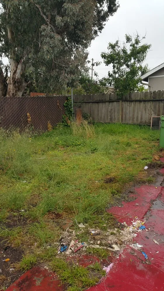 Custom residential landscaping in Oakland, CA by Andres' Garden Services