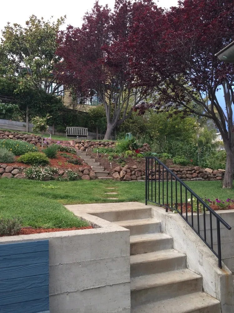 Affordable yard cleanup service experts serving Oakland, CA - Andres' Garden Services