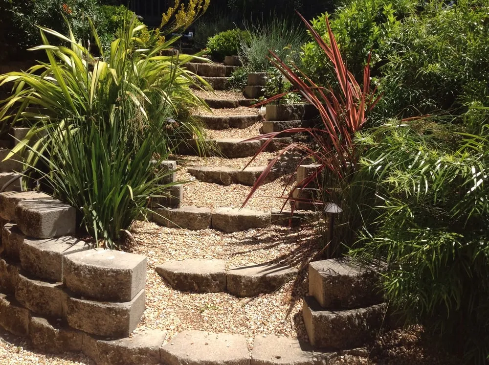 Trusted lawn mowing service in Oakland, CA by Andres' Garden Services