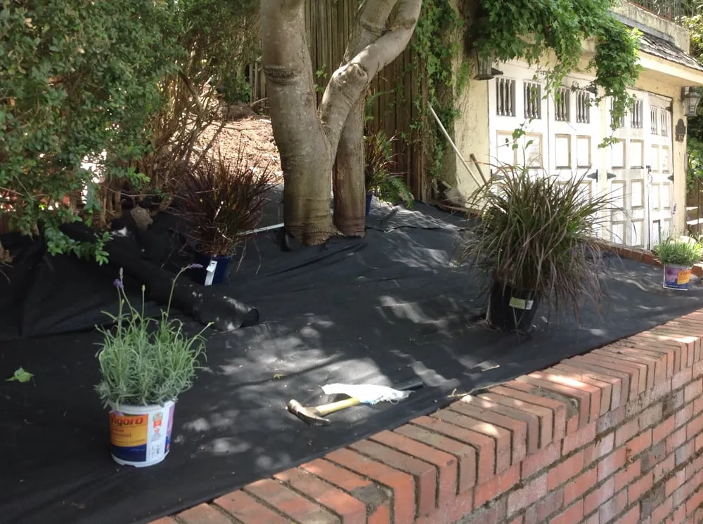 Professional landscaping services for homes in Oakland, CA by Andres' Garden Services