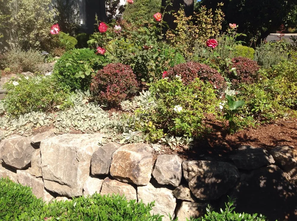 Top-rated outdoor landscaping experts serving Oakland, CA - Andres' Garden Services