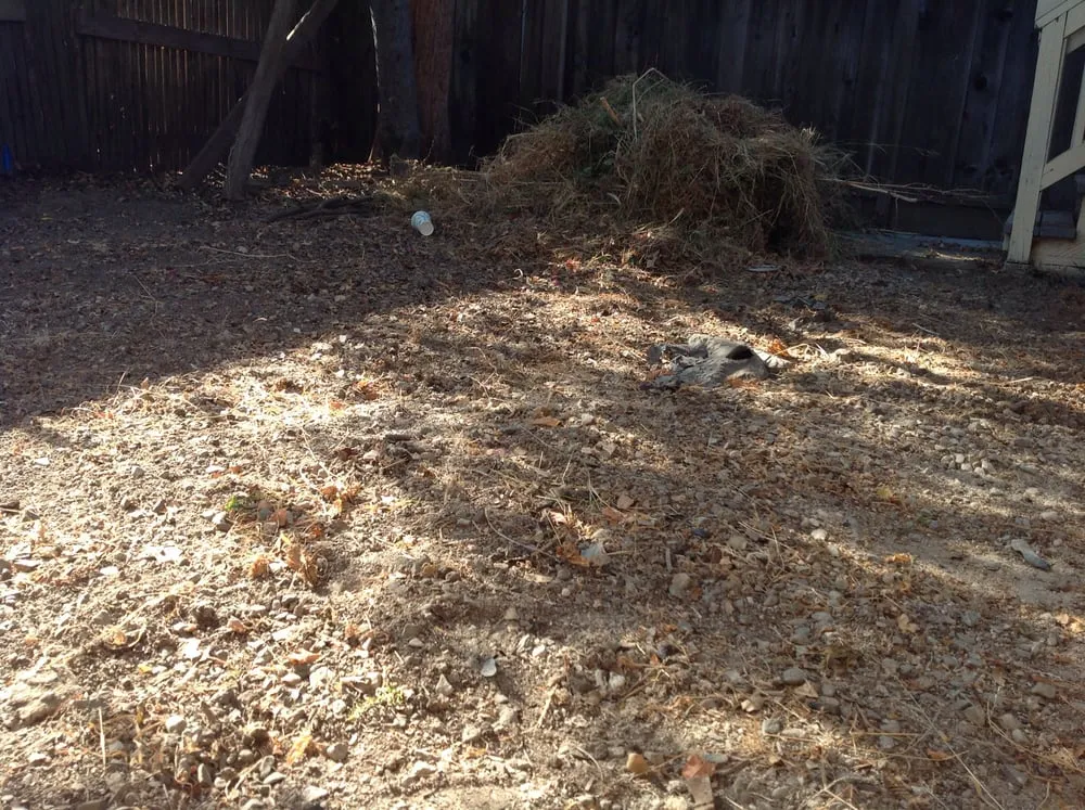 Custom lawn care service experts serving Oakland, CA - Andres' Garden Services