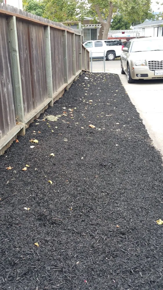 Local landscape installation experts serving Oakland, CA - Andres' Garden Services