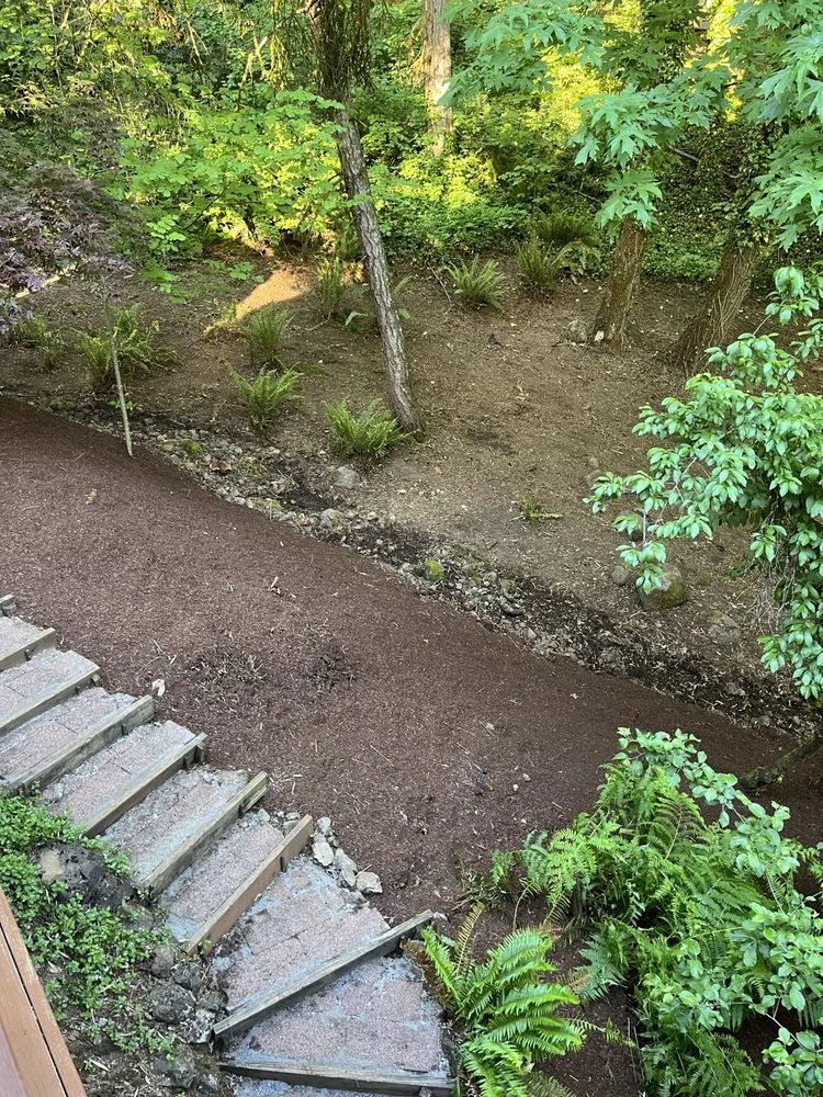 Professional landscaping services experts serving Portland, OR - Andres General Landscape