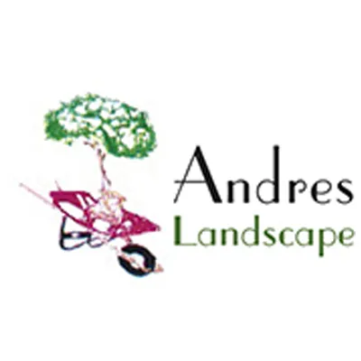 Reliable yard cleanup service in Santa Cruz, CA by Andres Landscape