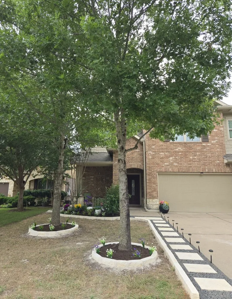 Custom landscape installation in Austin, TX - Andres Landscaping