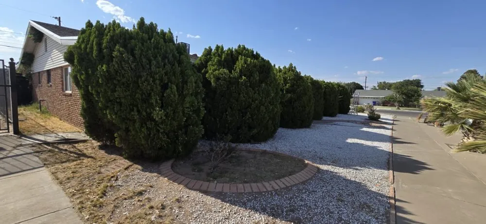 Trusted lawn care service in El Paso, TX - Andres Landscaping