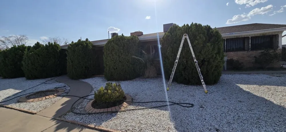 Affordable landscape design in El Paso, TX - Andres Landscaping