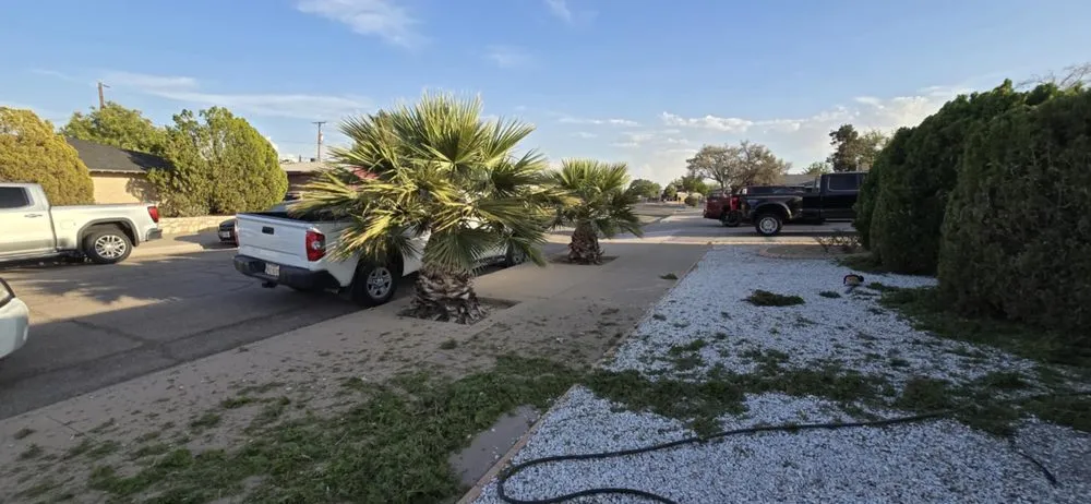 Expert yard cleanup service in El Paso, TX - Andres Landscaping