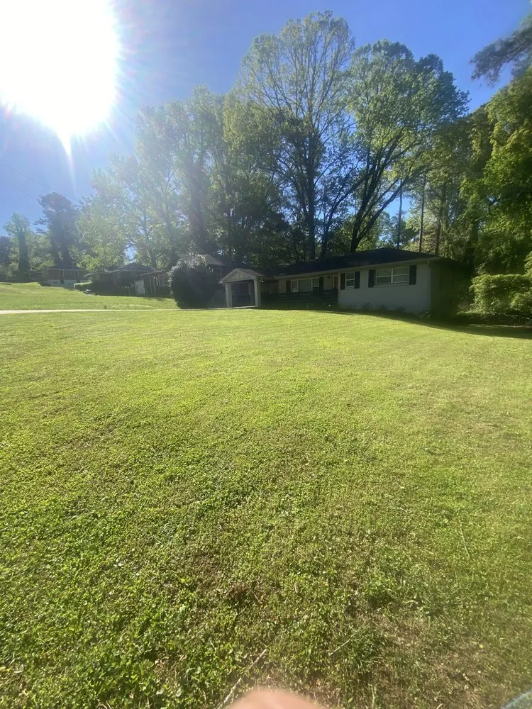 Expert yard cleanup service experts serving Marietta, GA - Andres Landscaping