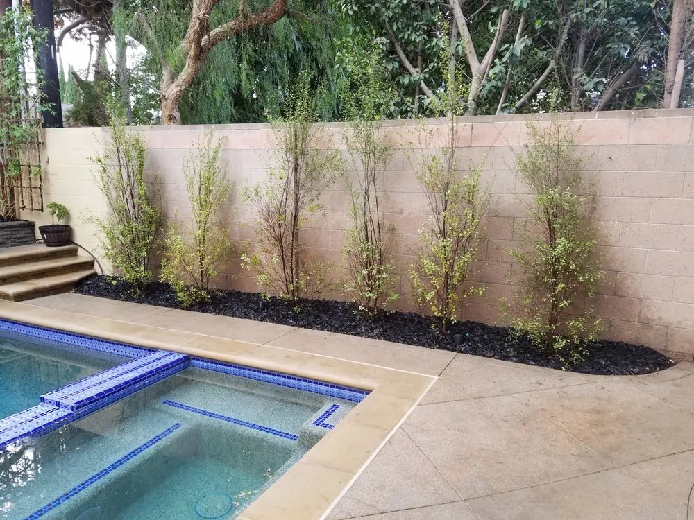Professional residential landscaping experts serving Long Beach, CA - Andres Lawn and Landscaping