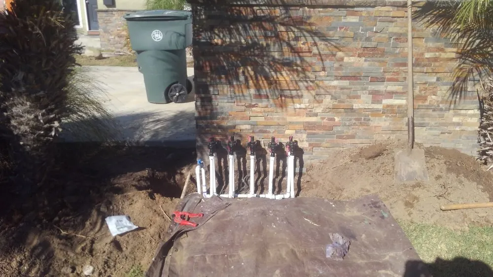 Custom yard cleanup service experts serving Long Beach, CA - Andres Lawn and Landscaping