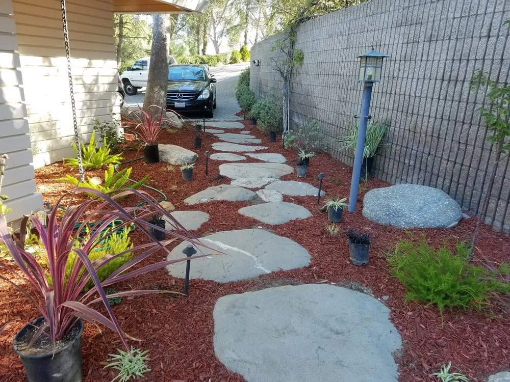 Expert yard cleanup service in Long Beach, CA by Andres Lawn and Landscaping