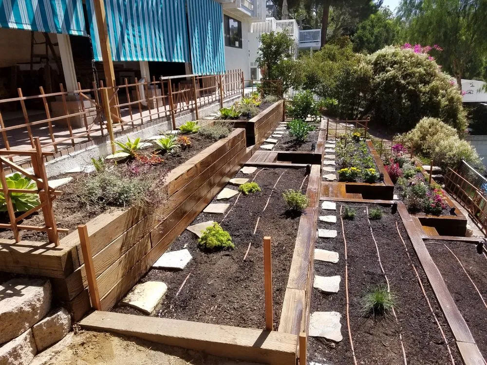 Local residential landscaping for outdoor upgrades in Long Beach, CA by Andres Lawn and Landscaping