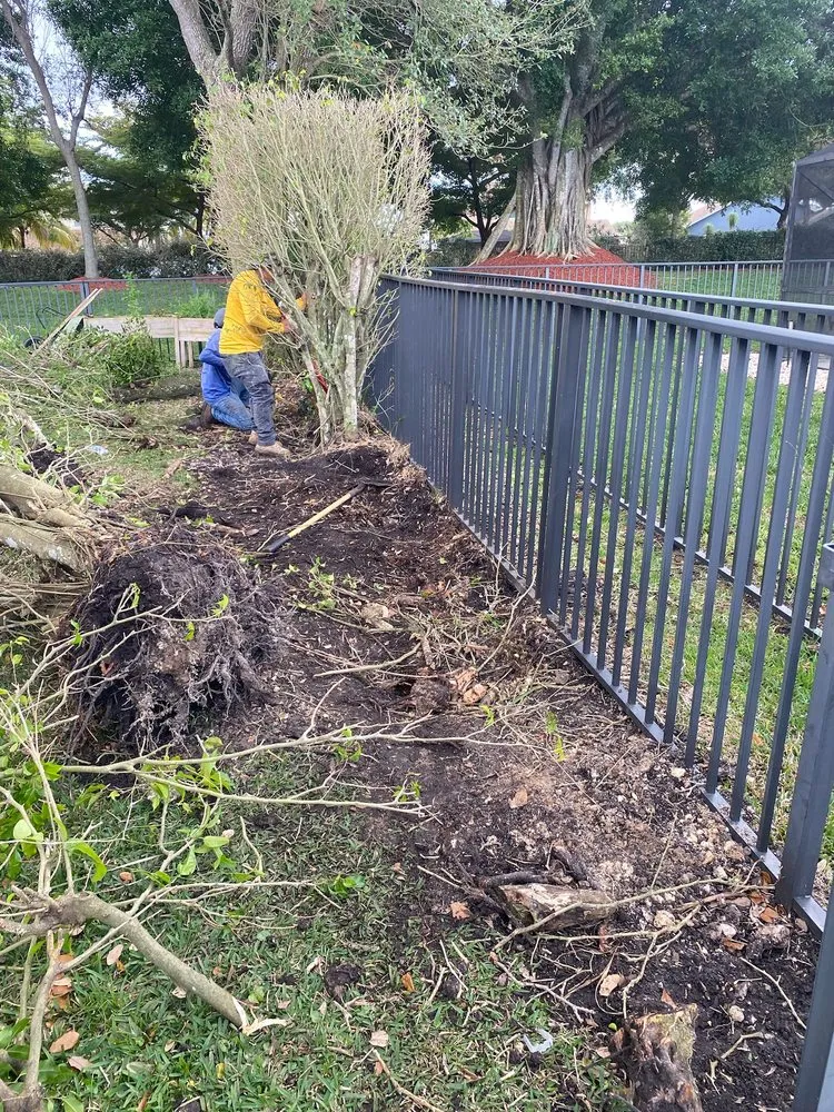 Professional lawn mowing service in Lantana, FL - Andres Lawn care