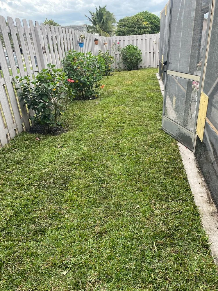 Local yard cleanup service experts serving Lantana, FL - Andres Lawn care
