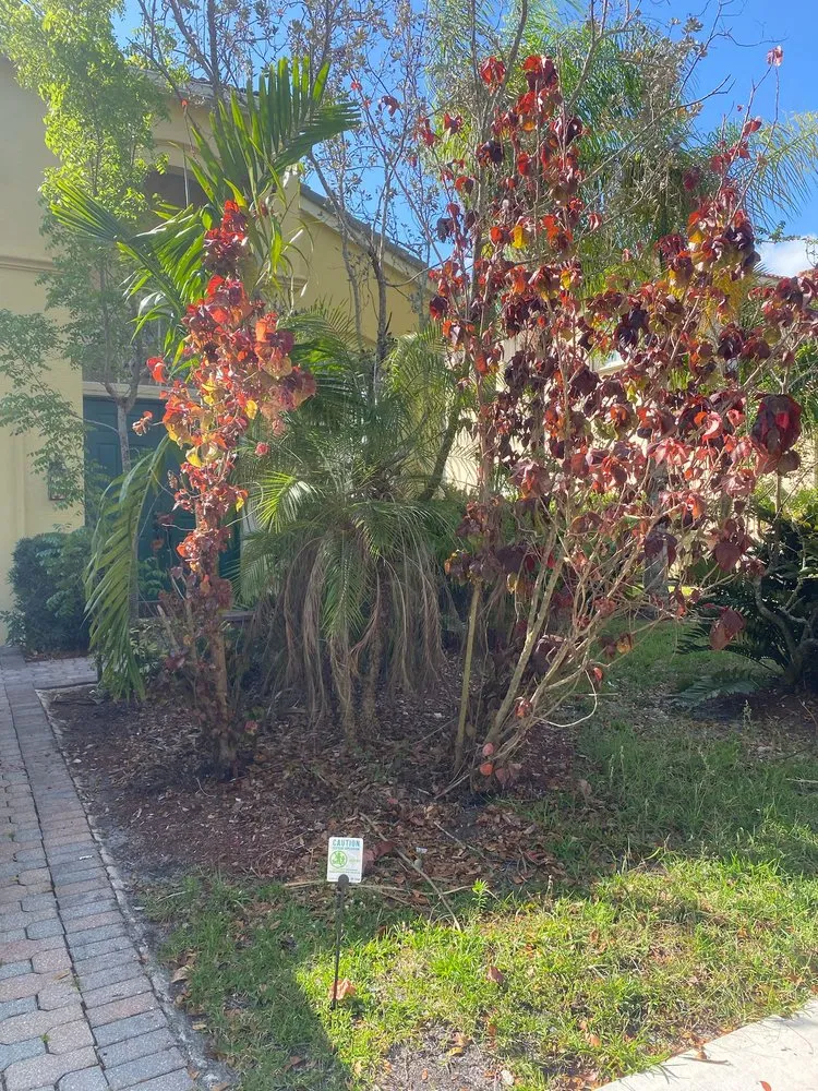 Trusted garden landscaping in Lantana, FL - Andres Lawn care